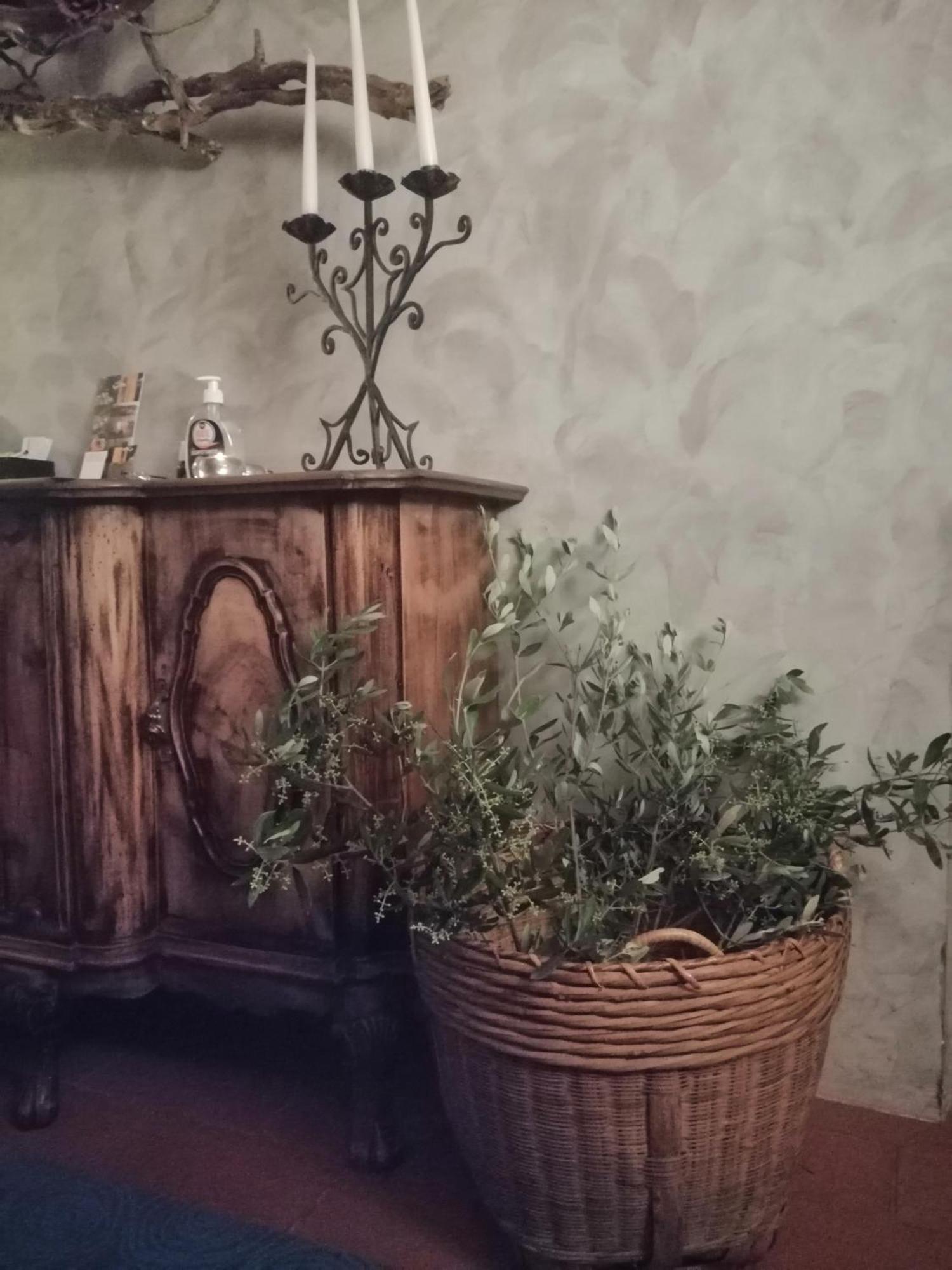 Corte Di Maggio B&B Country House Imola Exteriér fotografie